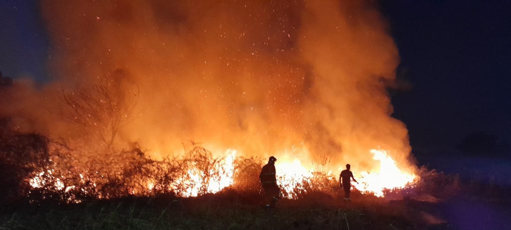 Cerveteri, fiamme in via di Zambra. Sul posto la Protezione Civile