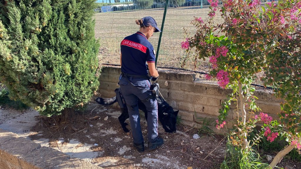 Ladispoli - Cerveteri, scatta l'operazione "Rider 2": tutte le informazioni