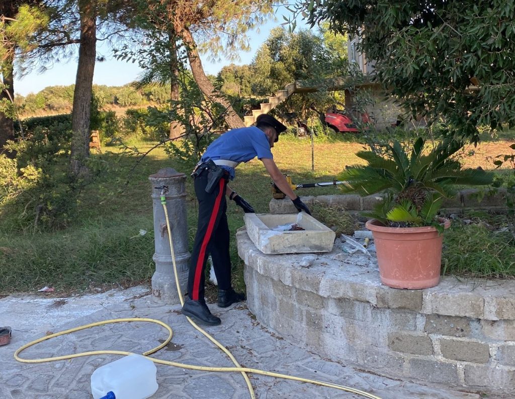 Ladispoli - Cerveteri, scatta l'operazione "Rider 2": tutte le informazioni