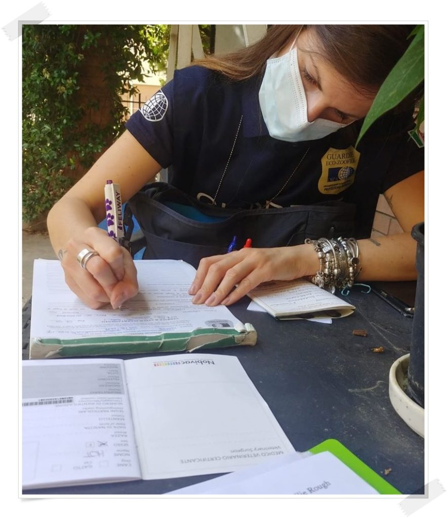Roma e Lazio, aperte le iscrizioni al corso online per Guardie Zoofile Oipa