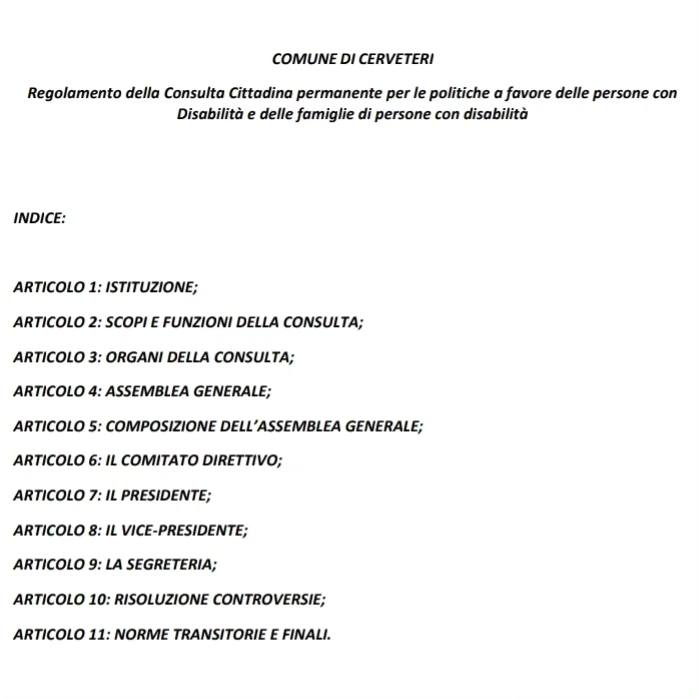 approvato il regolamento della consulta cittadina permanente per le politiche a favore delle persone con disabilità e delle loro famiglie