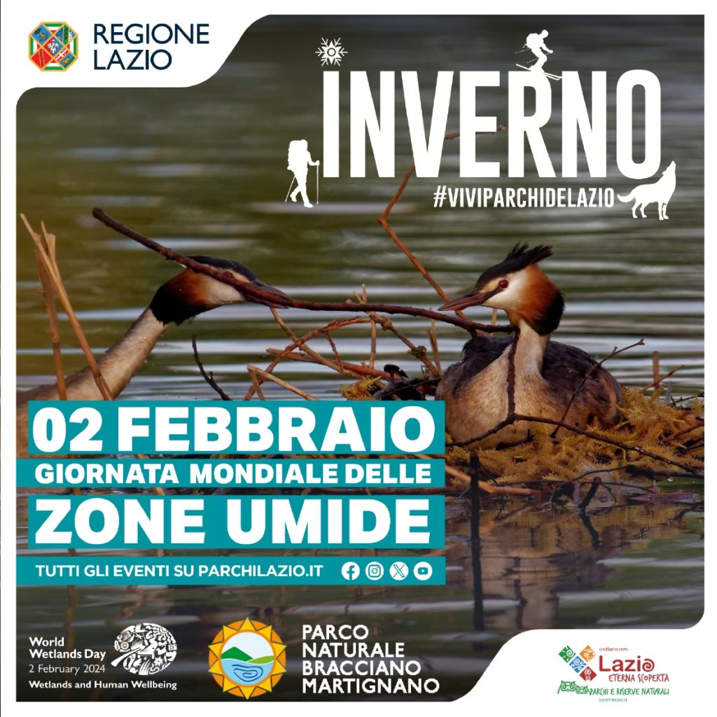 Fauna nelle zone umide, monitorati quasi 19.000 esemplari nei laghi Bracciano, Martignano e Monterosi 