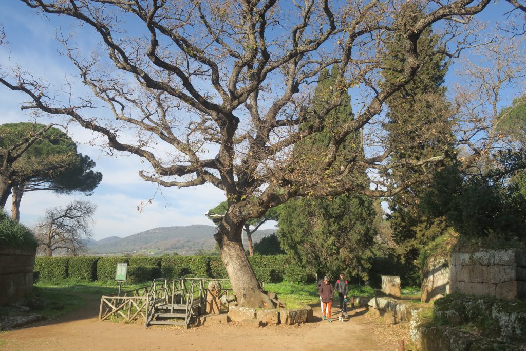 Una giornata da volontari all’interno della Necropoli della Banditaccia di Cerveteri. Tra tanti visitatori e presunti fantasmi