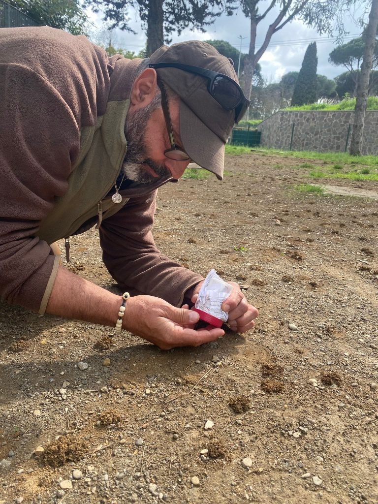 andrea lunerti api solitarie 