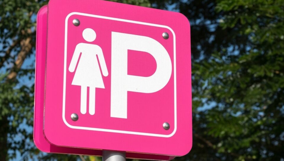 Cerveteri, il Consigliere Gianluca Paolacci rende pubblica la richiesta di parcheggi rosa di una donna con una gravidanza a rischio