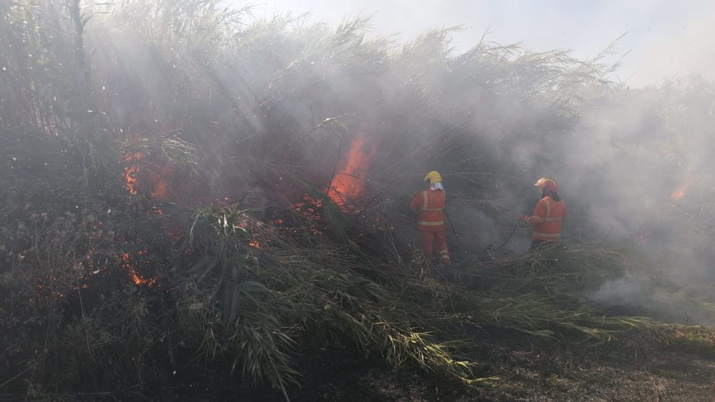 Cerveteri, vasto incendio in via del Lentisco