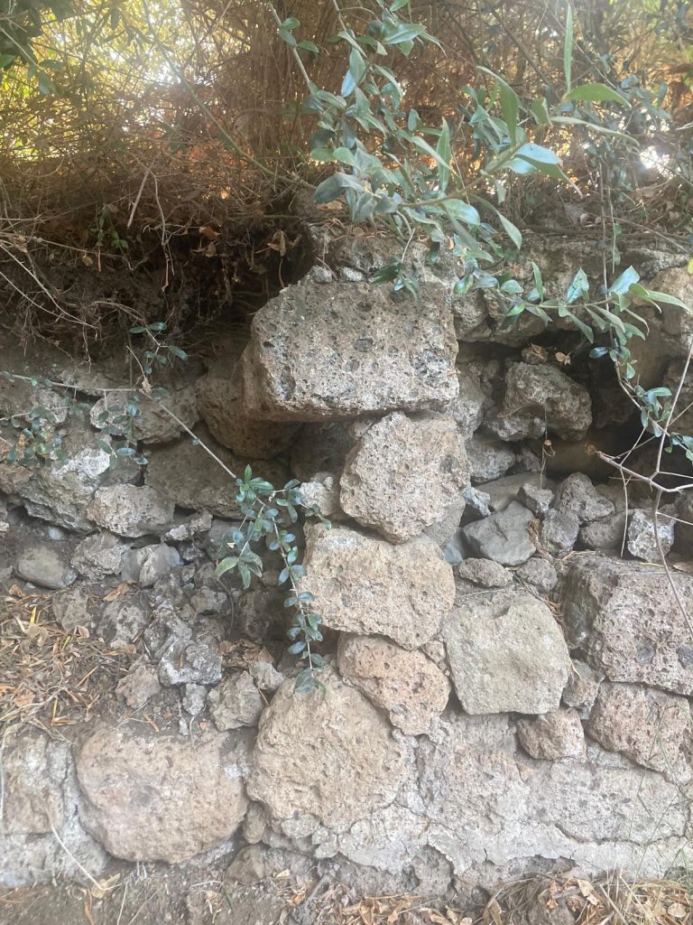 Le mura della strada della Palma vanno salvate