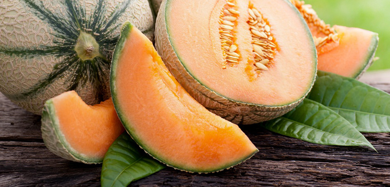 Melone Sagra del melone, a Due Casette pronti a ospitare 10 mila persone