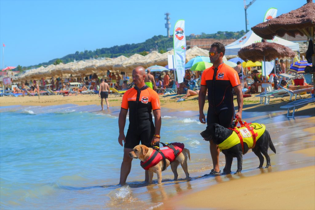 I cani bagnino SICS al lavoro sulle spiagge d'Italia