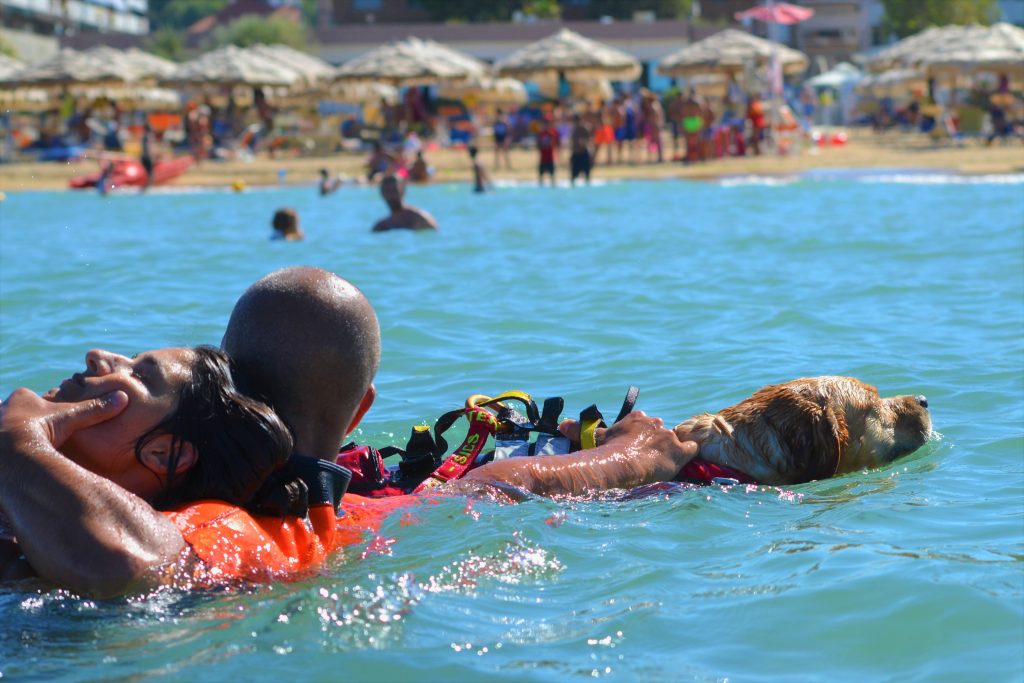 I cani bagnino SICS al lavoro sulle spiagge d'Italia
