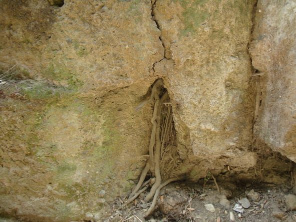 L'indimenticabile avventura di una scozzese nella Cerveteri dell'Arciprete Regolini