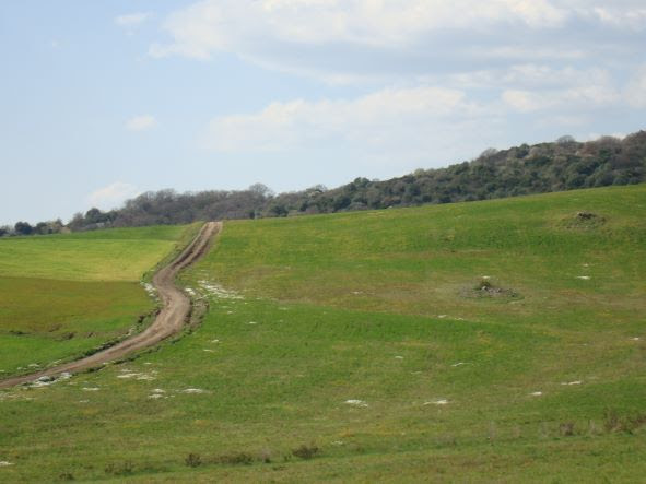 L'indimenticabile avventura di una scozzese nella Cerveteri dell'Arciprete Regolini