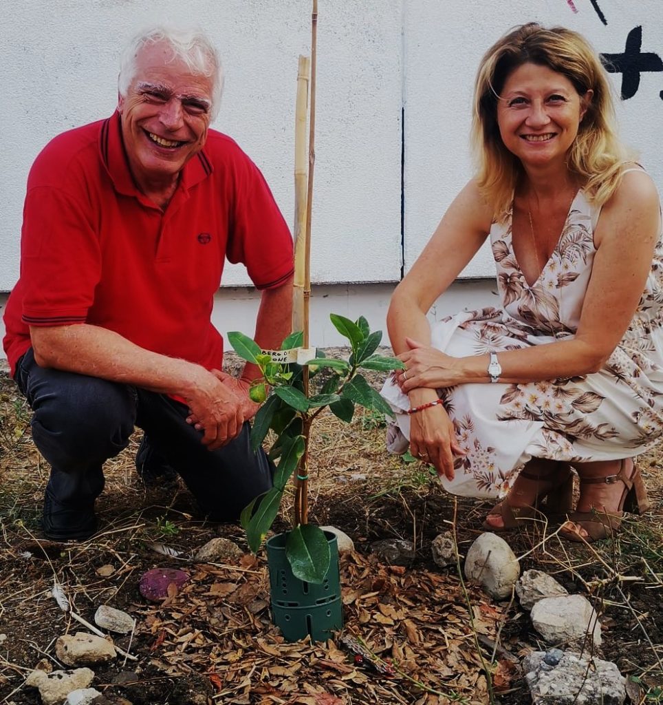 Ladispoli, l'albero della legalità di Giovanni Falcone è ora alla Melone