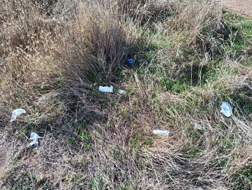 Cerveteri, "amori sporcaccioni" alla Necropoli della Banditaccia