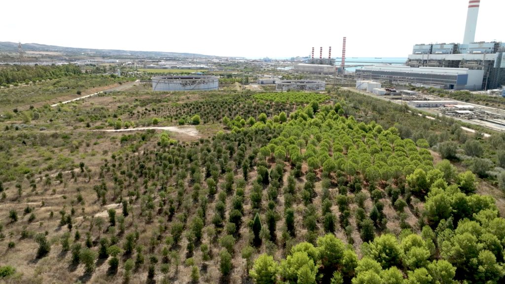 Il WWF interviene a salvaguardia del "Bosco Enel" di Civitavecchia