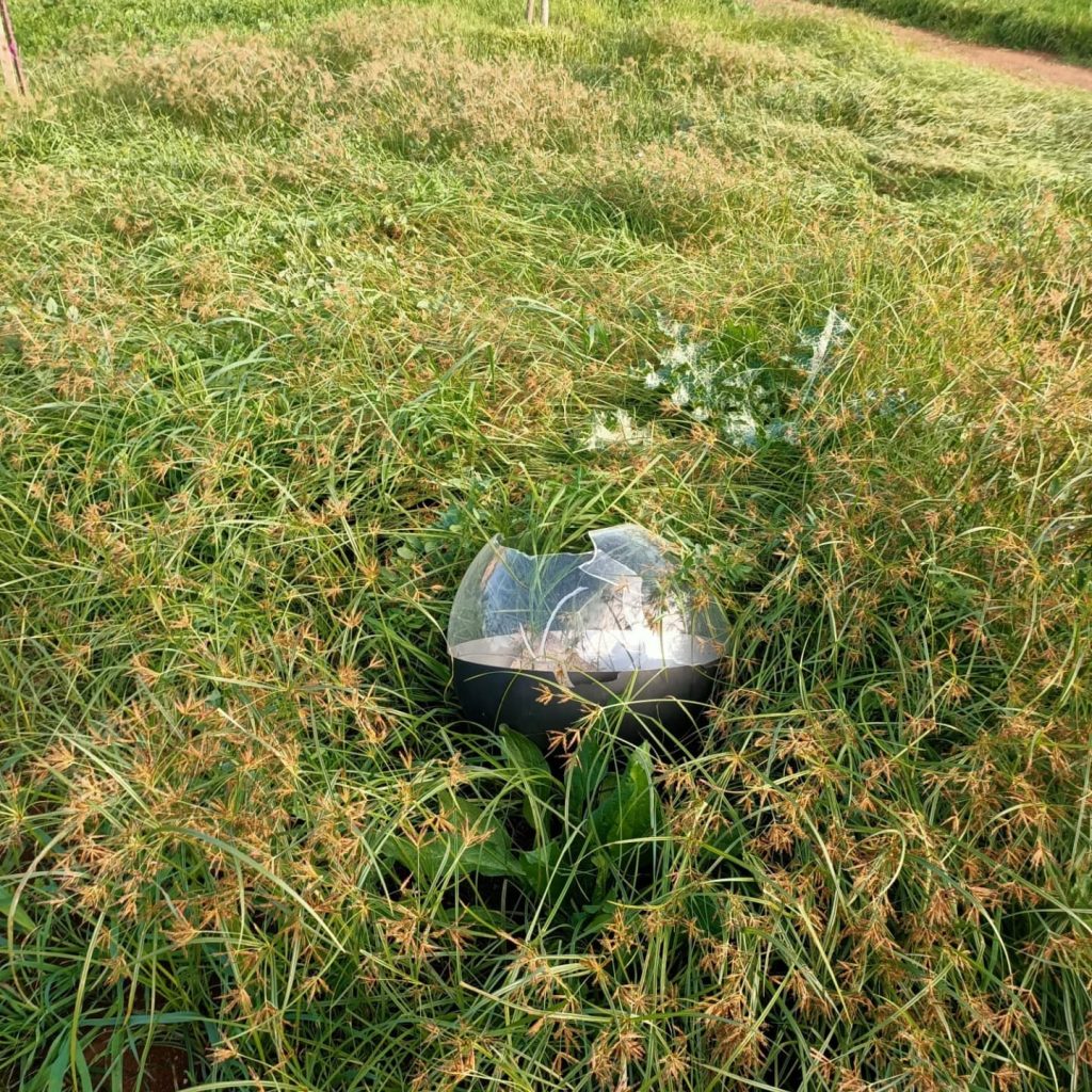 Vandalizzato il Parco Borsellino, Gubetti: "Presentata denuncia ai Carabinieri"