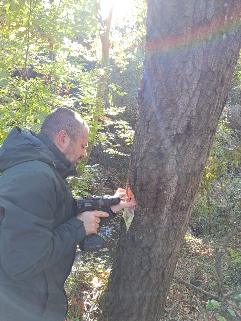 Cerveteri, riaperto al pubblico un primo tratto del Bosco di Valcanneto