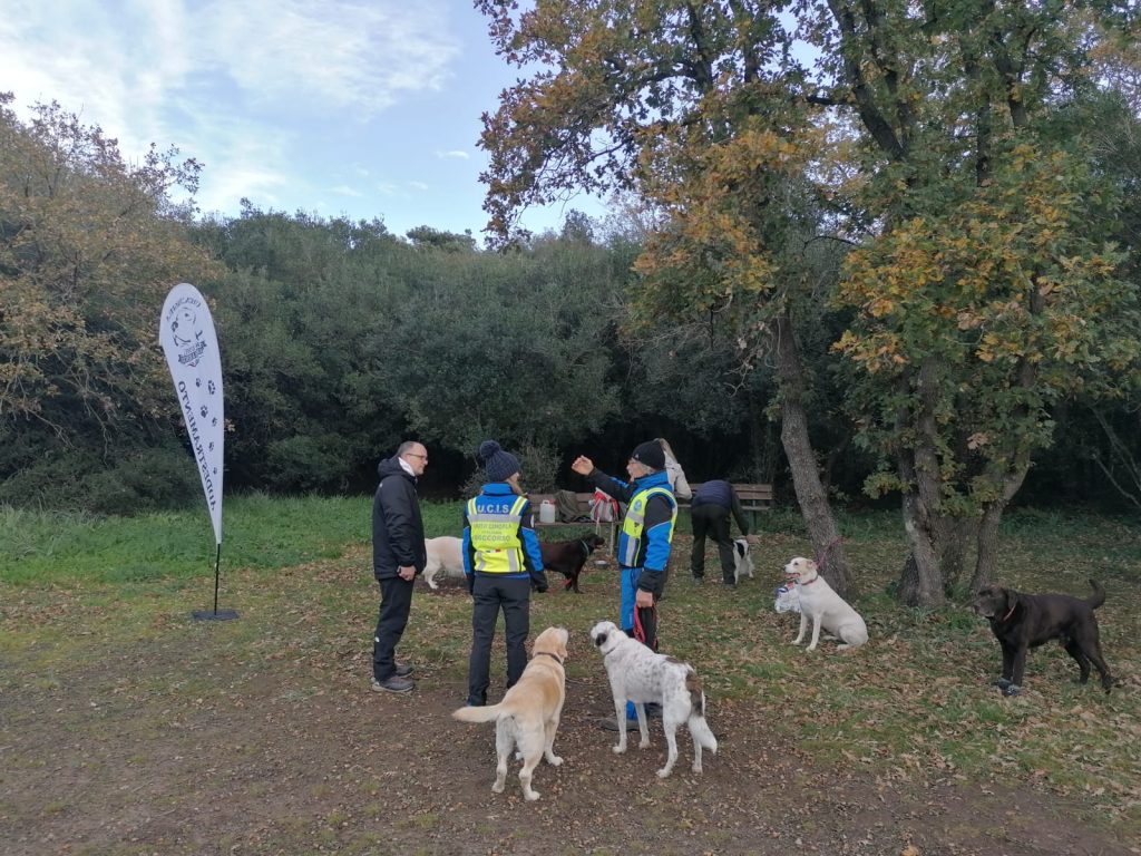 Cerveteri: prove di verifica annuali per le unità cinofile