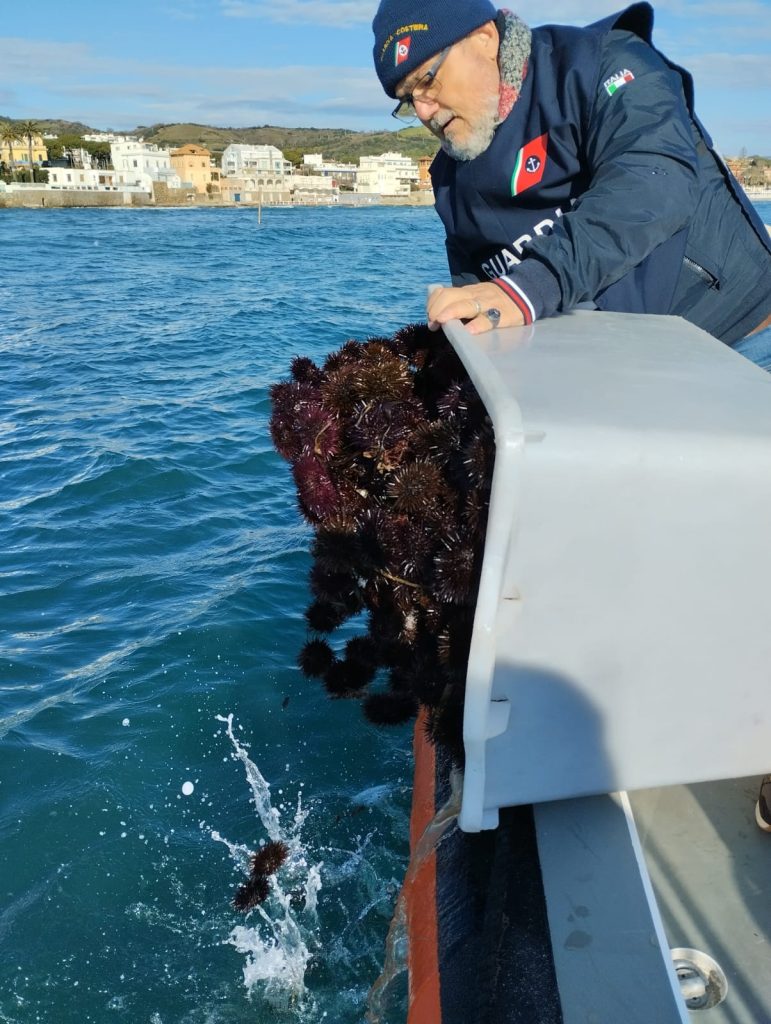 Santa Marinella, pescatori di frodo in trasferta da Pozzuoli: avevano pescato 2000 ricci di mare