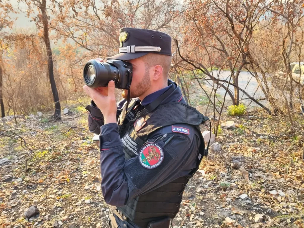 Allevamento abusivo di Husky, una persona deferita dal Gruppo Forestale dei Carabinieri