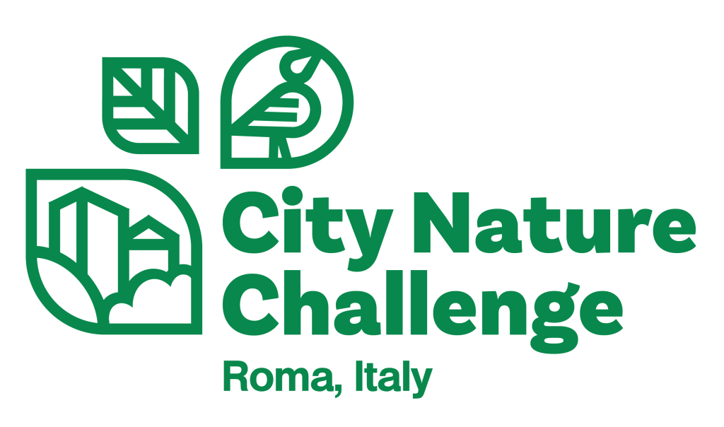 City Nature Challenge 2025, lunedì 28 nella Palude di Torre Flavia