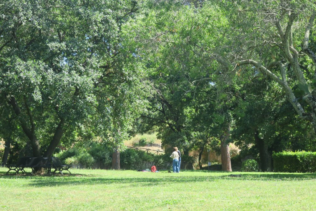 Cerveteri, Necropoli della Banditaccia sempre di più vissuta come un parco pubblico