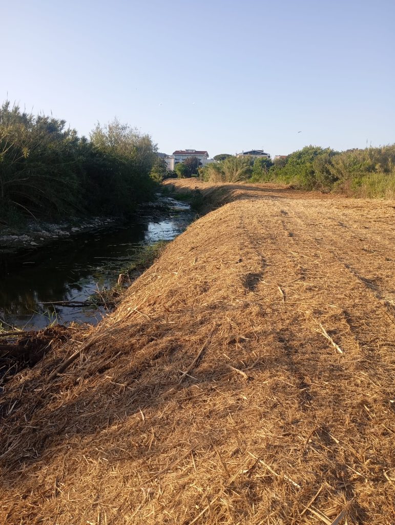 Santa Marinella, lavori di sistemazione anche al fosso di Castelsecco alto