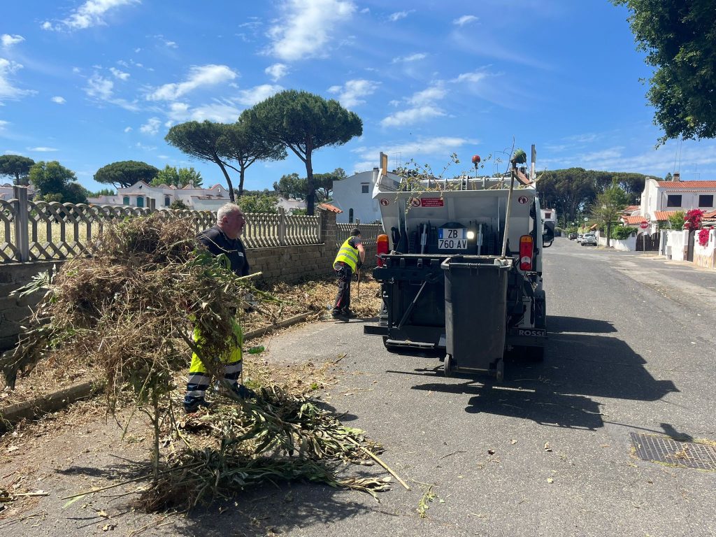 Sfalcio dell’erba e pulizia dei cigli stradali: servizio raddoppiato in tutto il territorio di Cerveteri