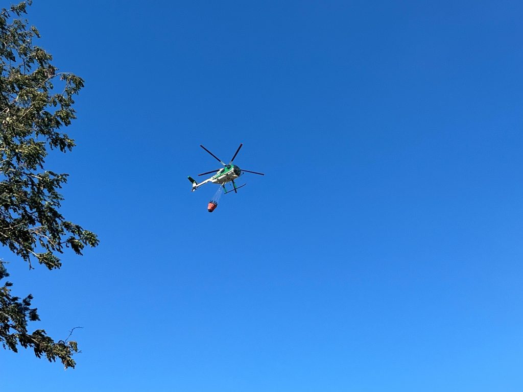 Renato Bisegni: “Sono abbastanza sicuro che l’incendio di domenica a Cerveteri abbia avuto origini dolose”