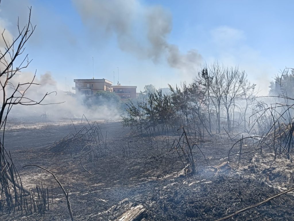 Incendio a Cerveteri, nel primo pomeriggio. Si indaga sull’origine dolosa. Due vigili del fuoco intossicati, uno elitrasportato