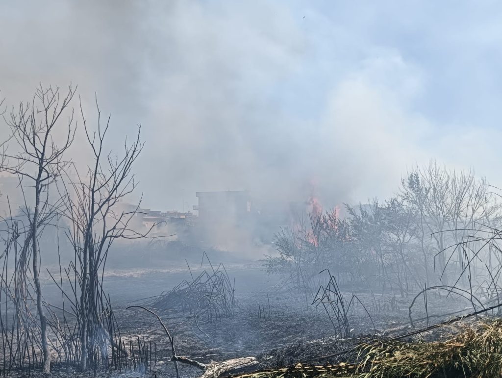 Renato Bisegni: “Sono abbastanza sicuro che l’incendio di domenica a Cerveteri abbia avuto origini dolose”