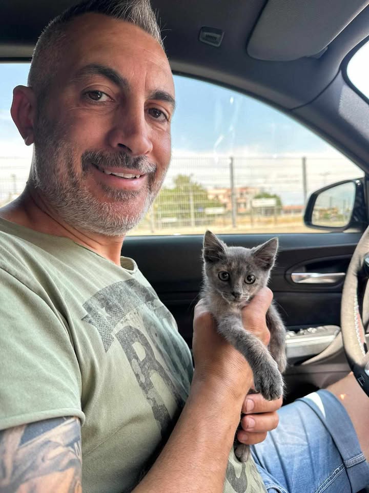 Cerveteri, un piccolo gattino intrappolato in un motore, salvato da morte certa da un pronto intervento di Gianluca Giacobbe