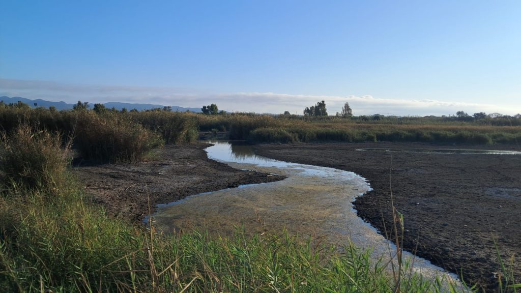 Palude di Torre Flavia, dopo i lavori di manutenzione gli stagni si sono di nuovo riempiti d’acqua