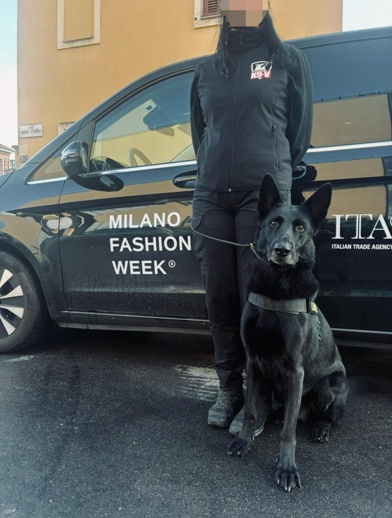 Dai Parchi di Ladispoli alle Passerelle di Milano: I Nostri Eroi a Quattro Zampe alla Fashion Week