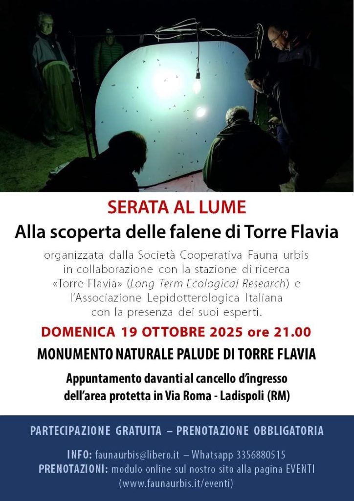 Ladispoli, “Serata al lume”, alla scoperta delle falene di Torre Flavia