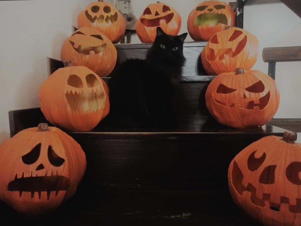 Cerenova, vi presento il mio Halloween, con personaggi, filastrocche e 65 zucche