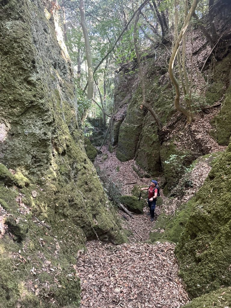 Ceri, sabato 11 ottobre, trekking con rievocazione storica. L’iniziativa di Irasenna e Vivere Etruria