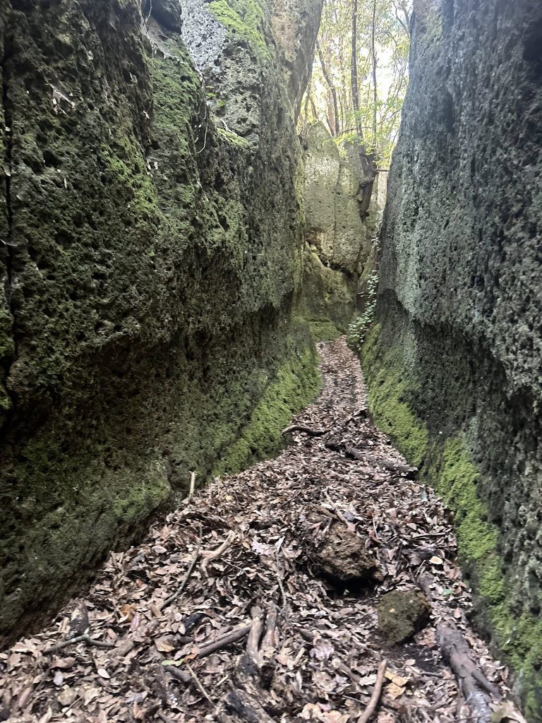Ceri, sabato 11 ottobre, trekking con rievocazione storica. L’iniziativa di Irasenna e Vivere Etruria