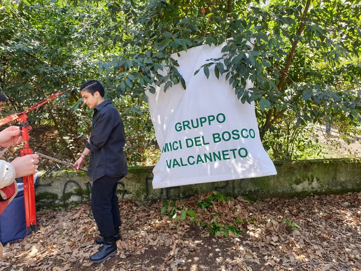 Cerveteri, gli “Amici del bosco Valcanneto” pubblicano una lettera aperta alla Sindaca Elena Gubetti