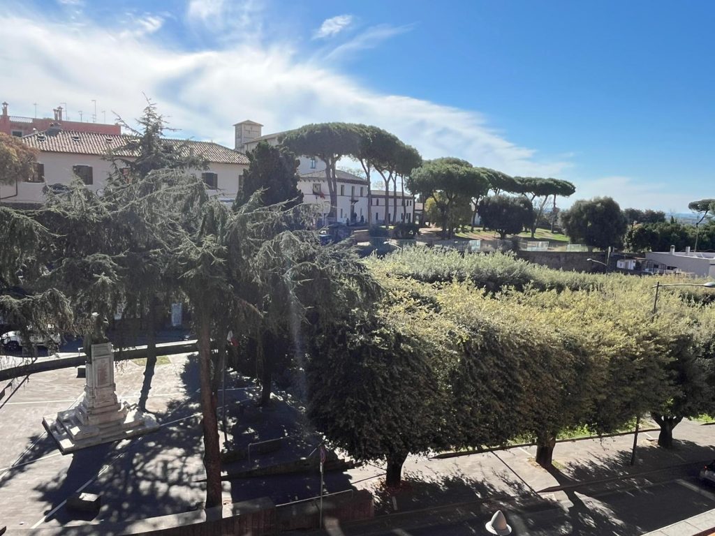 Parco della Rimembranza a Cerveteri, lunedì ripiantumazione di nuovo albero di leccio