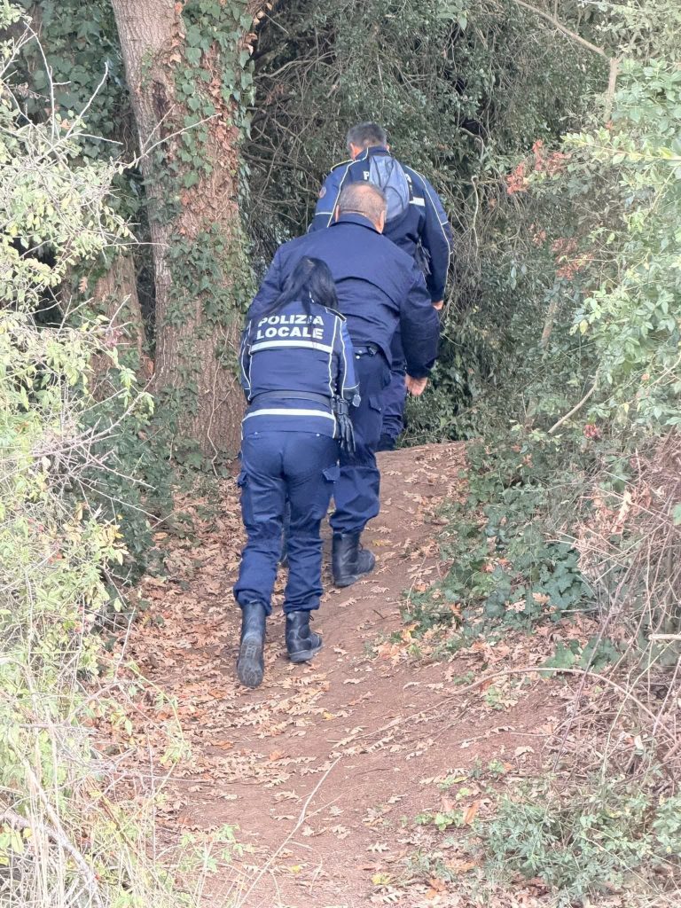 Daino in spiaggia a Ladispoli, stupore tra i passanti