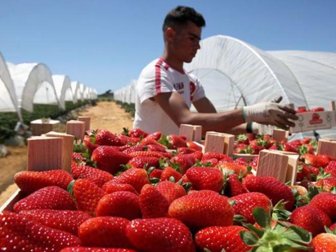 Imprese gestite da stranieri: a Ladispoli sono più del doppio che a Cerveteri, ma chiudono anche il doppio più velocemente