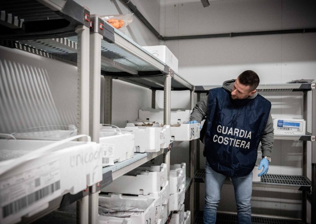 In corso l’operazione “FISH_NET”, con controlli sulla filiera ittica per Natale. Sequestri, sanzioni e verifiche anche a Ladispoli, Bracciano e Civitavecchia