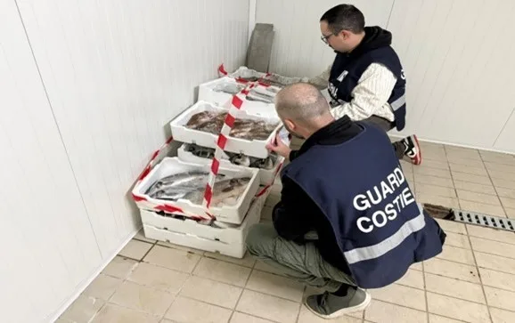In corso l’operazione “FISH_NET”, con controlli sulla filiera ittica per Natale. Sequestri, sanzioni e verifiche anche a Ladispoli, Bracciano e Civitavecchia