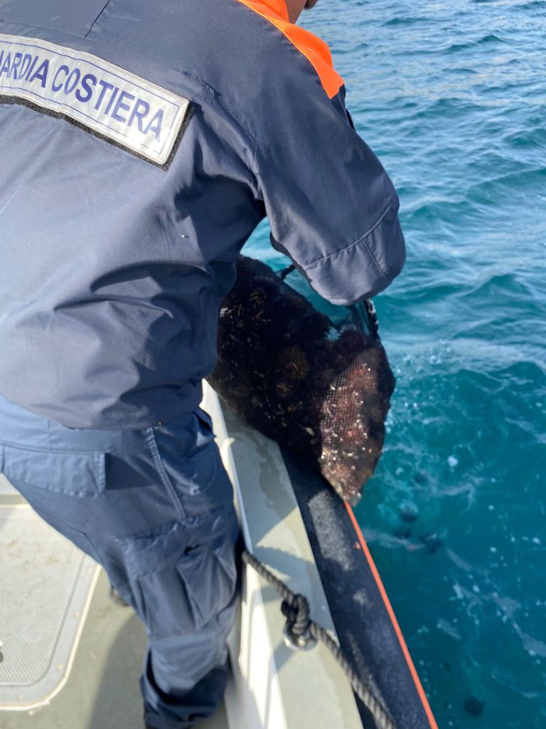 2000 ricci di mare sequestrati dalla Guardia Costiera a Santa Marinella2000 ricci di mare sequestrati dalla Guardia Costiera a Santa Marinella