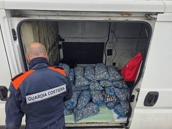 In corso l’operazione “FISH_NET”, con controlli sulla filiera ittica per Natale. Sequestri, sanzioni e verifiche anche a Ladispoli, Bracciano e Civitavecchia