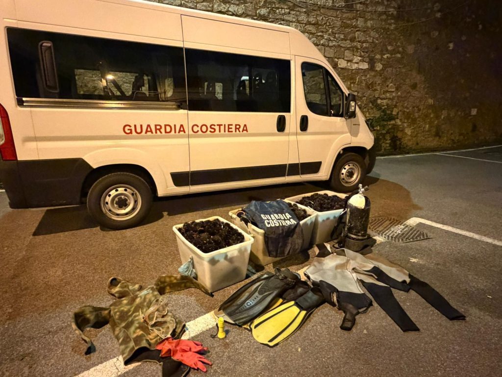 Blitz della Guardia Costiera a Santa Marinella: 5000 ricci sequestrati e rimessi in mare