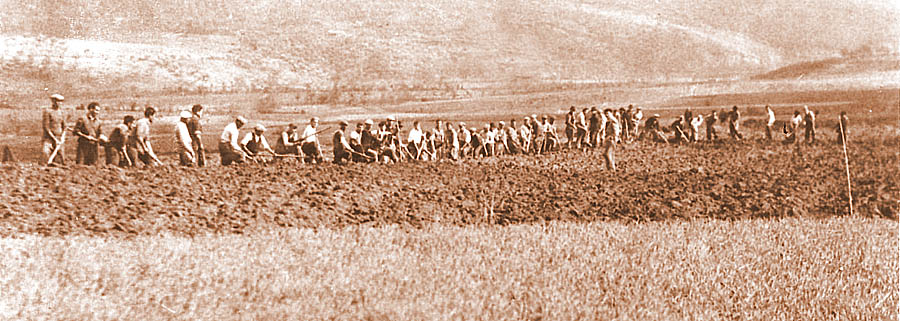 in 15 anni il 91% della ricchezza prodotta è finita ai più facoltosi, alla classe media le briciole