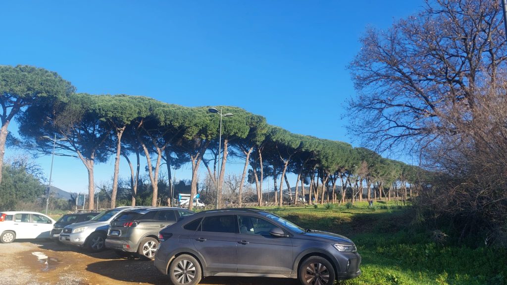 Cerveteri, via della Necropoli, nel suo tratto alberato, resta chiusa per lavori di potatura. Tutte le istruzioni per arrivare alla Banditaccia