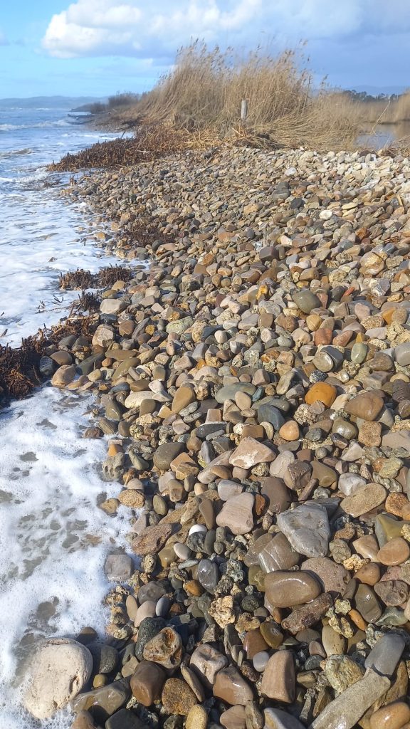Mareggiate e cambiamento climatico: la Palude di Torre Flavia sotto assedio